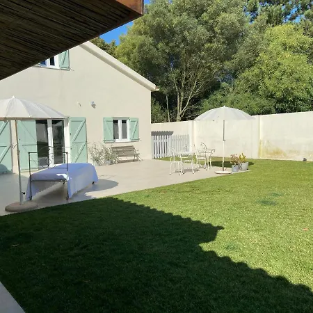 Pine Wood Charm House Villa