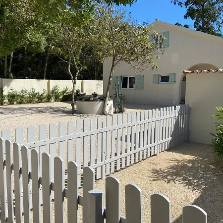 Pine Wood Charm House Villa