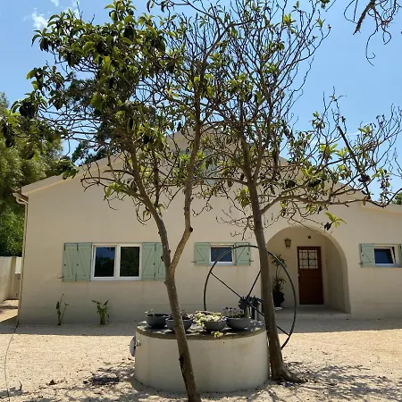 Villa Pine Wood Charm House