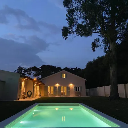 Pine Wood Charm House Villa *
