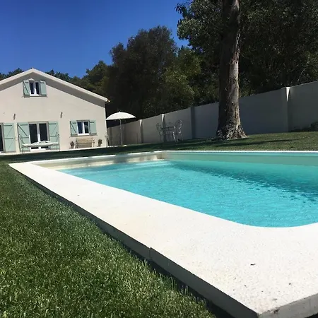Pine Wood Charm House Villa *